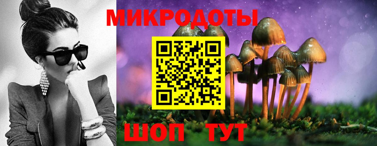 Псилоцибиновые грибы Cubensis Богородск